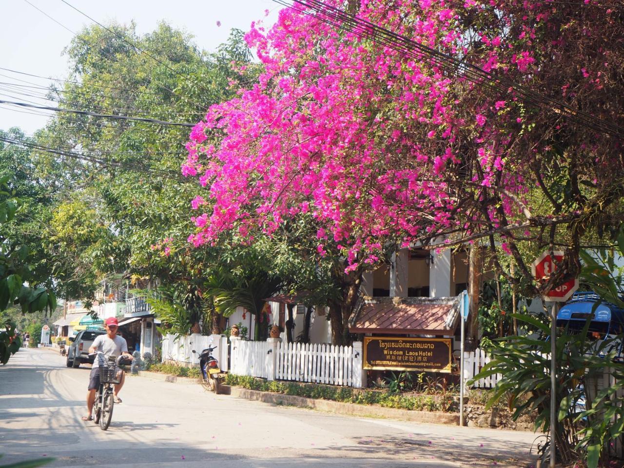 Wisdom Laos Hotel Luang Prabang Dış mekan fotoğraf